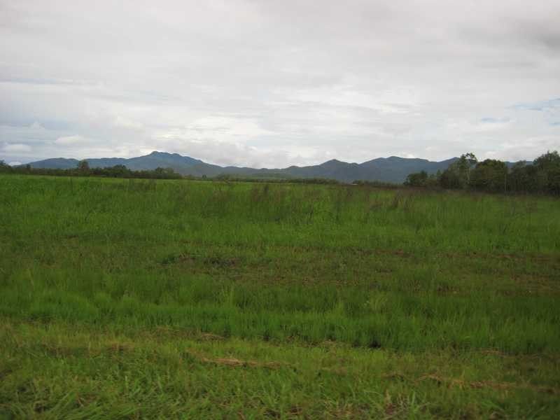 323 Malone Road, Mareeba QLD 4880