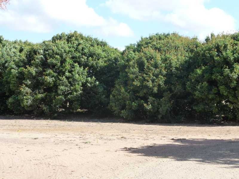 189 Mutchilba Road, Mutchilba QLD 4872