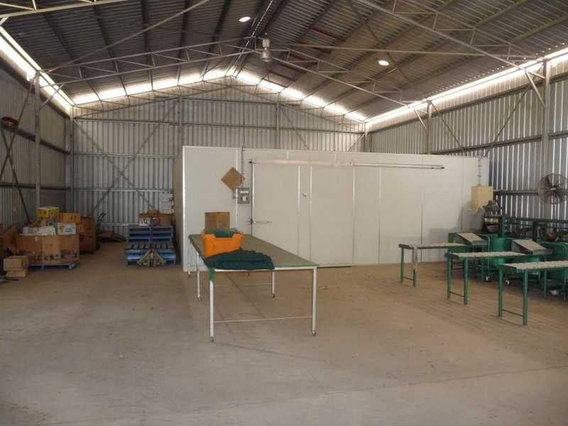 189 Mutchilba Road, Mutchilba QLD 4872