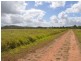 371 Malone Road, Mareeba QLD 4880