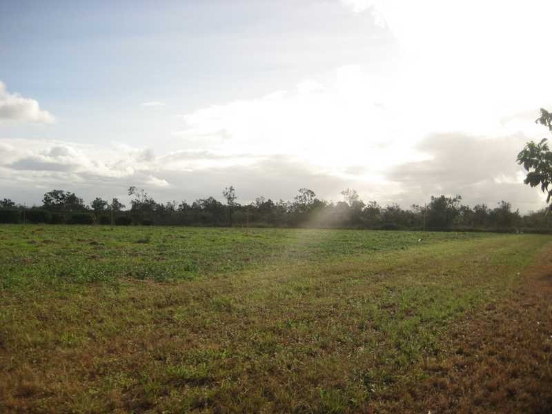 Malone Road, Mareeba QLD 4880