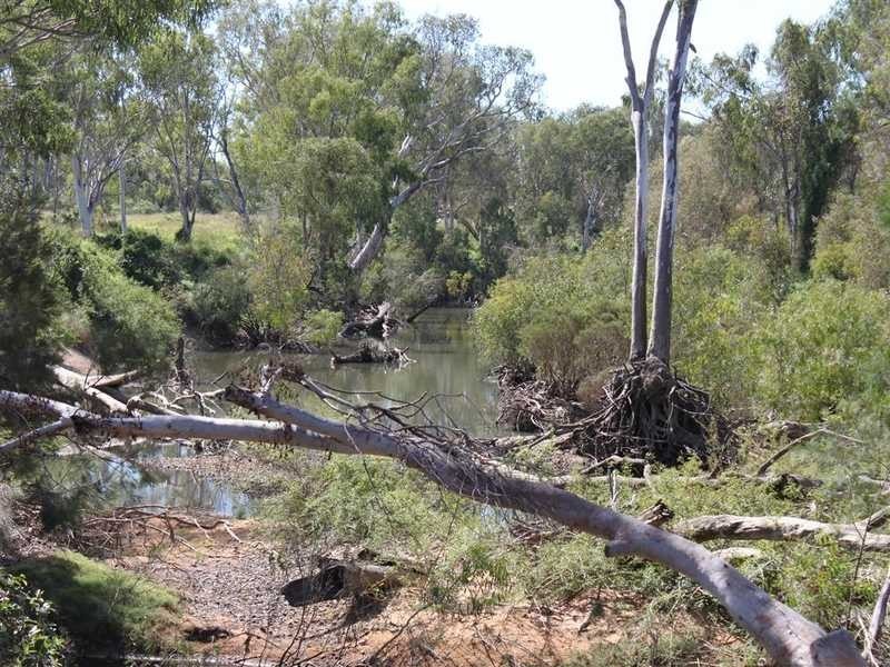 803 Leadingham Creek Rd, Dimbulah QLD 4872