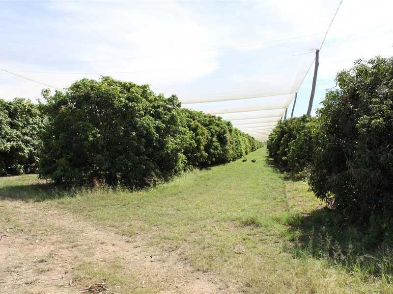 803 Leadingham Creek Rd, Dimbulah QLD 4872