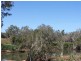 803 Leadingham Creek Rd, Dimbulah QLD 4872