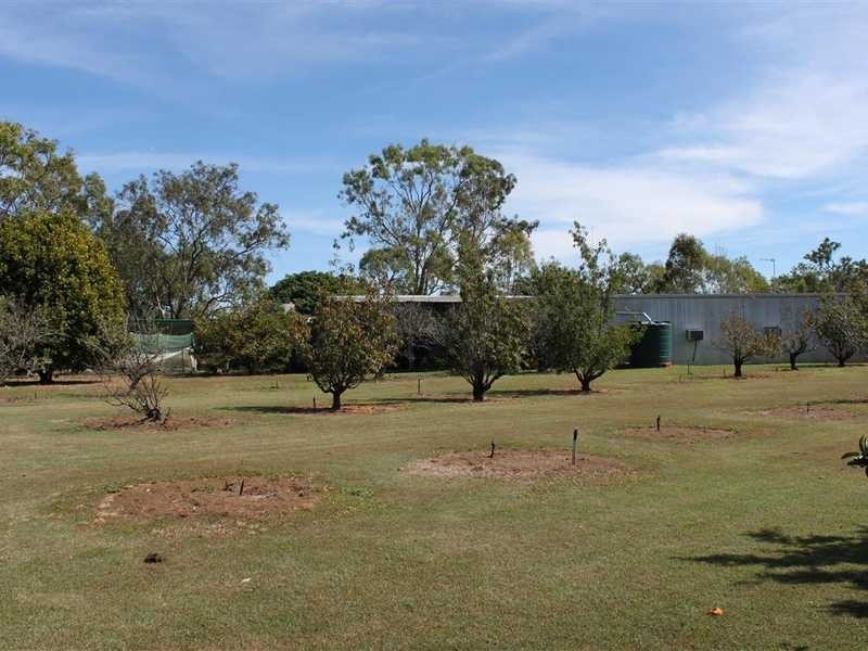 803 Leadingham Creek Rd, Dimbulah QLD 4872