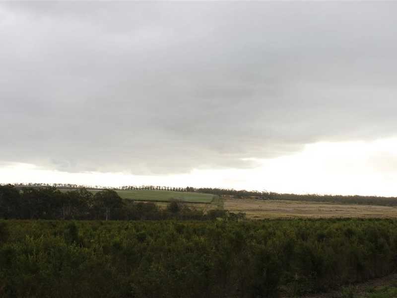 435 Bower Road, Arriga QLD 4880