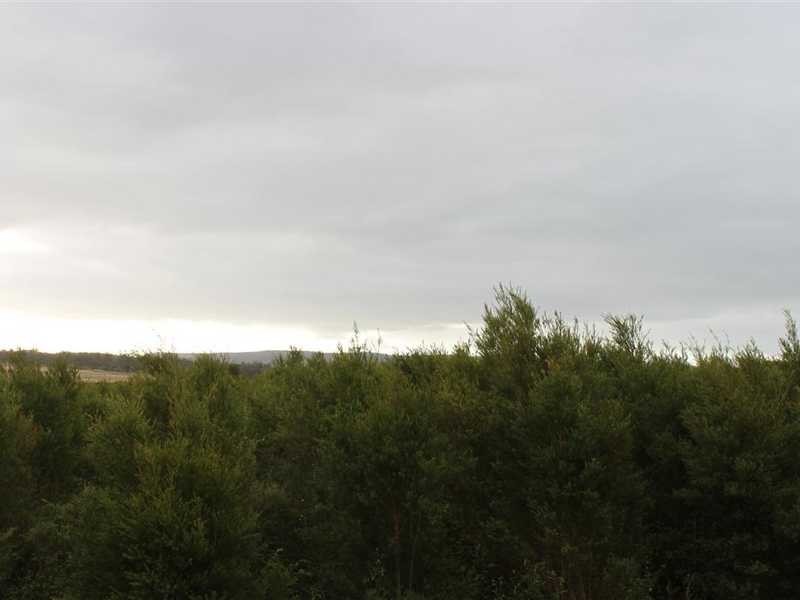 435 Bower Road, Arriga QLD 4880