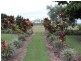 435 Bower Road, Arriga QLD 4880