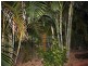 13 Hastings Drive, Mareeba QLD 4880