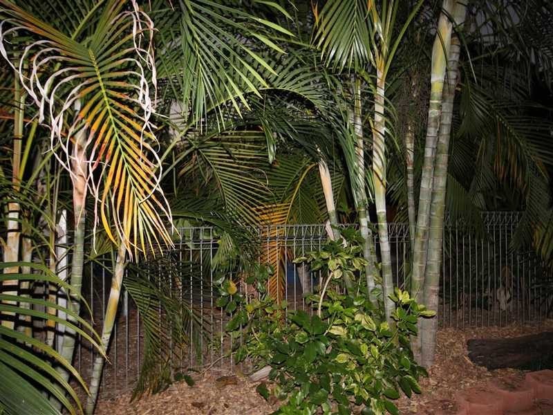 13 Hastings Drive, Mareeba QLD 4880