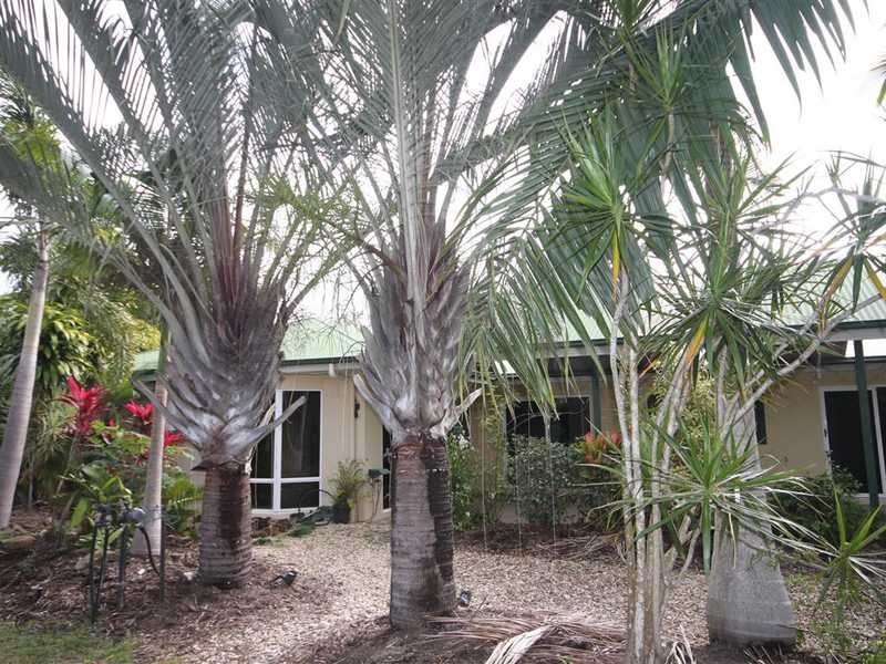 7 Debel Close, Mareeba QLD 4880