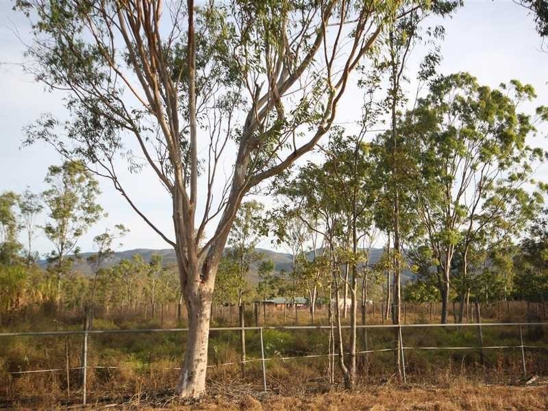 279 Channel Rd, Walkamin QLD 4872