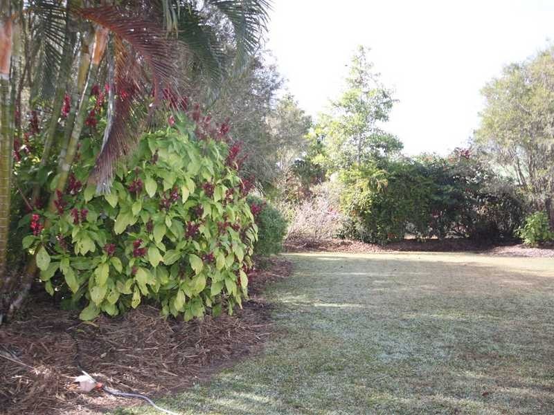 5 Debel Close, Mareeba QLD 4880