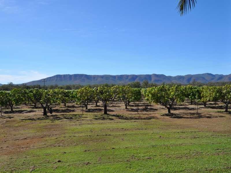 679 Springmount Road, Dimbulah QLD 4872