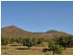 679 Springmount Road, Dimbulah QLD 4872