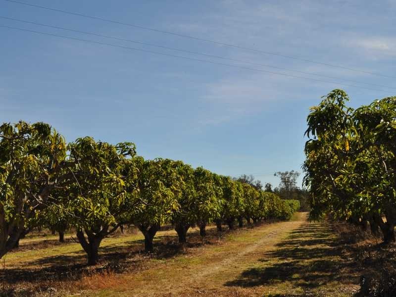 679 Springmount Road, Dimbulah QLD 4872