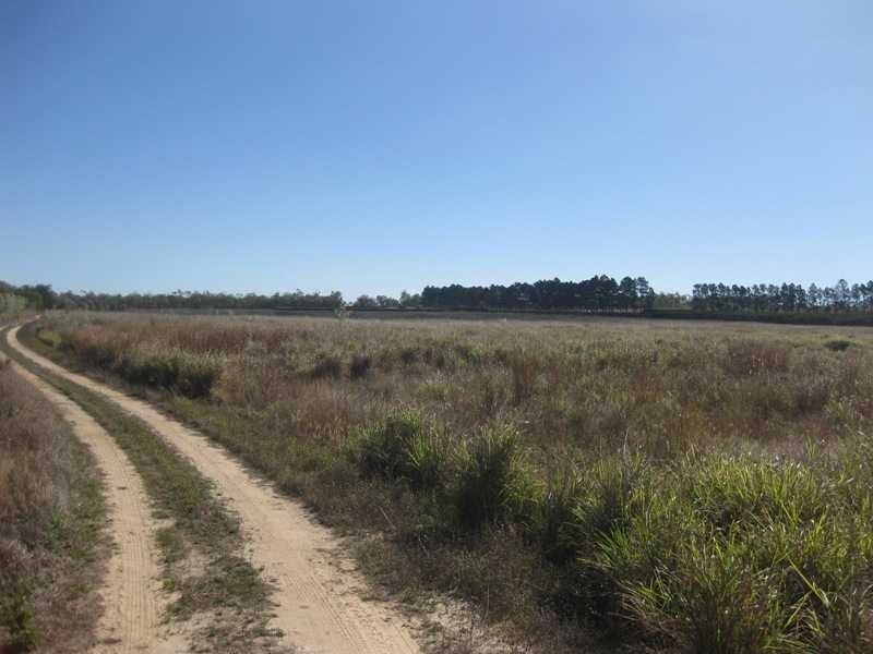 108 Bower Rd, Mareeba QLD 4880