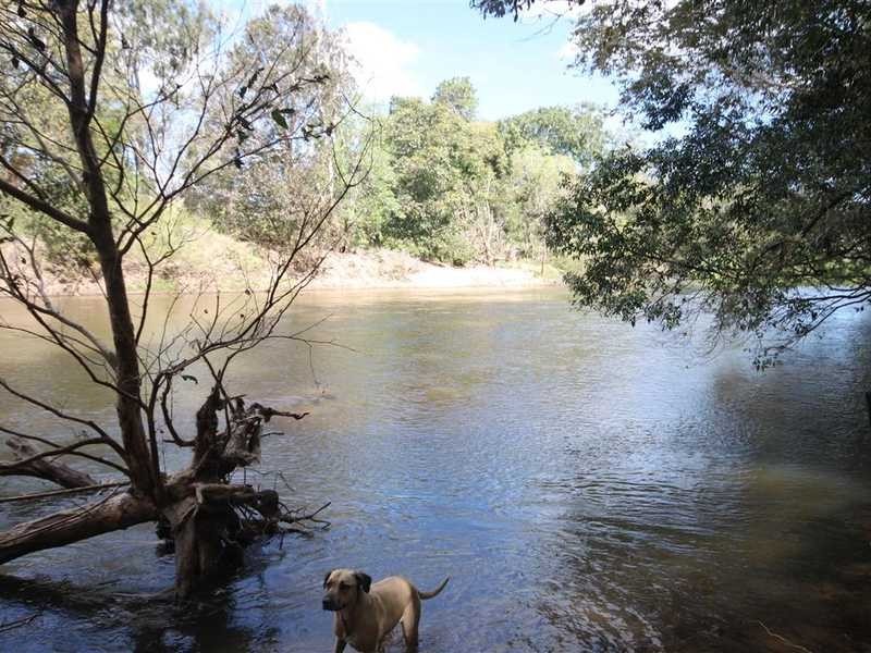 618 Hodzic Rd, Mareeba QLD 4880