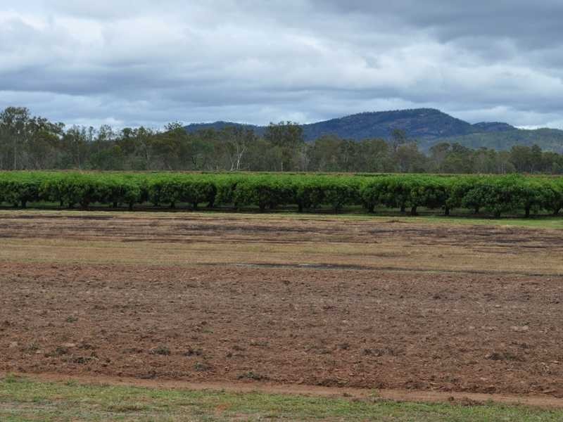 251 Algoma Rd, Mutchilba QLD 4872