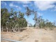 Lot 300 Peninsula Development Road, Mareeba QLD 4880