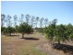 548 McGrath Road, Mareeba QLD 4880