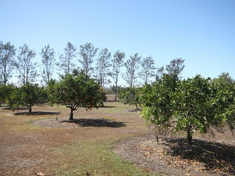 548 McGrath Road, Mareeba QLD 4880