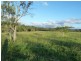 161 Orchid Drive, Biboohra QLD 4880
