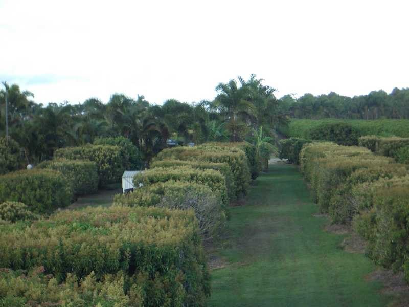 209 Malone Road, Mareeba QLD 4880