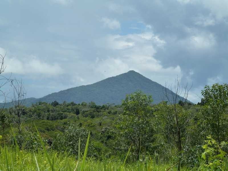 Bump Track, Julatten QLD 4871