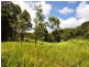 Bump Track, Julatten QLD 4871