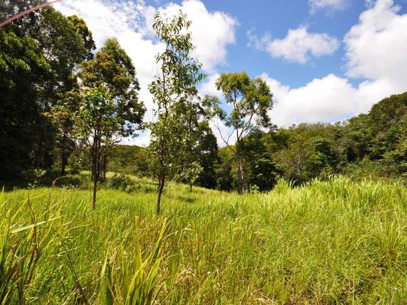 Bump Track, Julatten QLD 4871