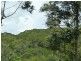 Bump Track, Julatten QLD 4871