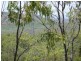 67 Adler Hill Road, Mareeba QLD 4880