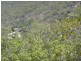 67 Adler Hill Road, Mareeba QLD 4880