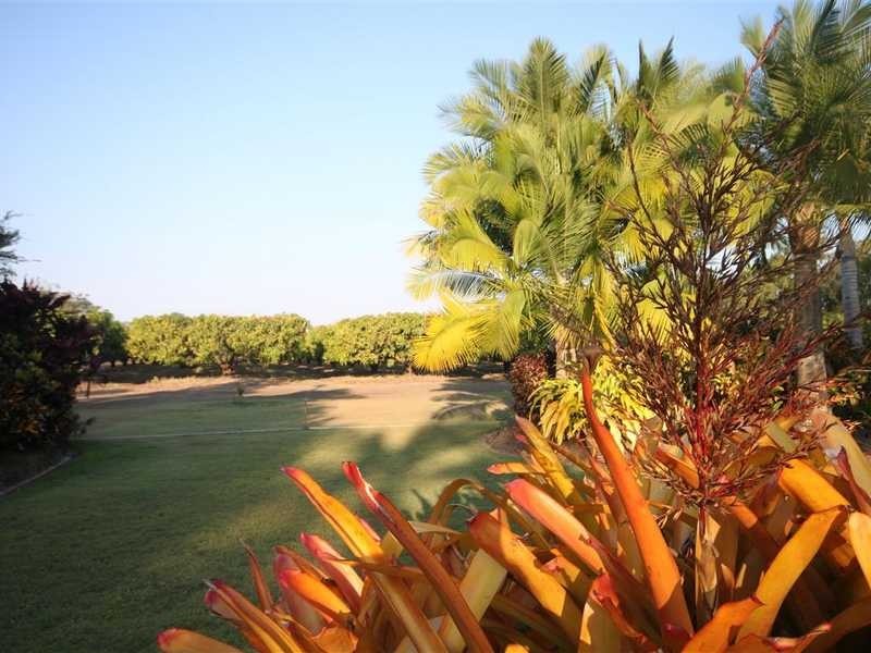 313 Springs Road, Mareeba QLD 4880