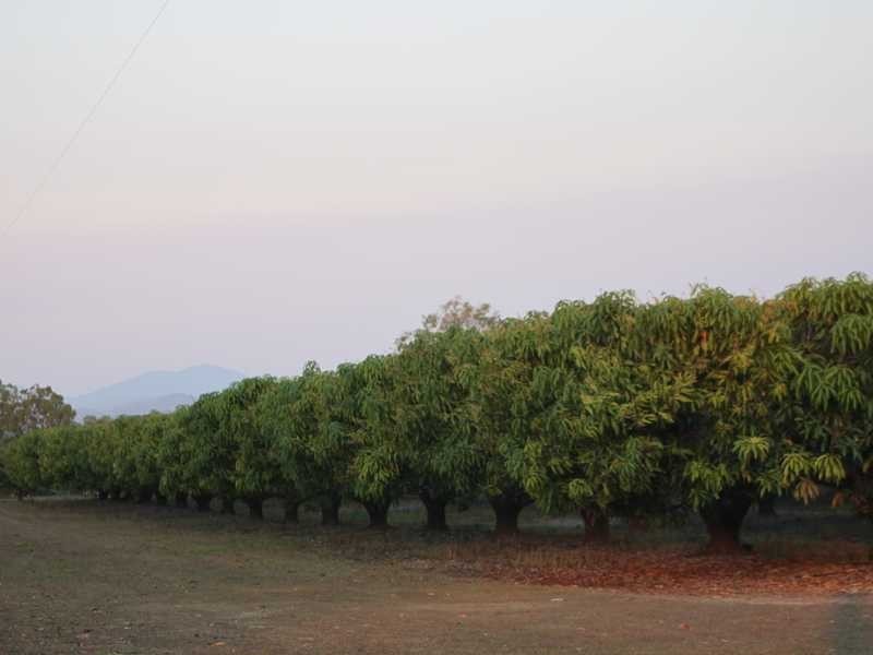 313 Springs Road, Mareeba QLD 4880