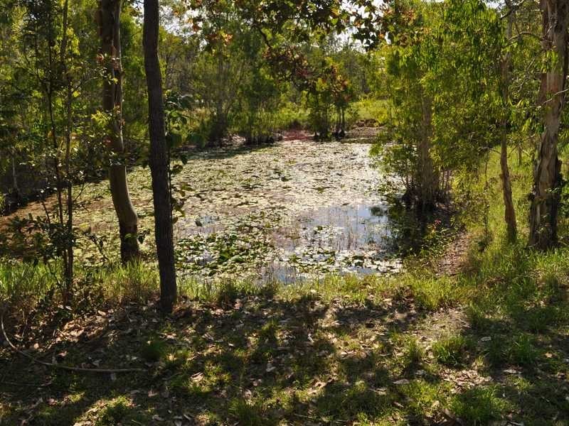 22 Freedom Close, Kuranda QLD 4881