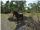 22 Freedom Close, Kuranda QLD 4881