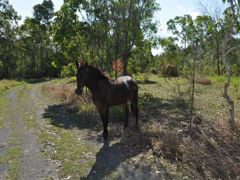 22 Freedom Close, Kuranda QLD 4881