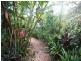 74 Eacham Road, Yungaburra QLD 4884