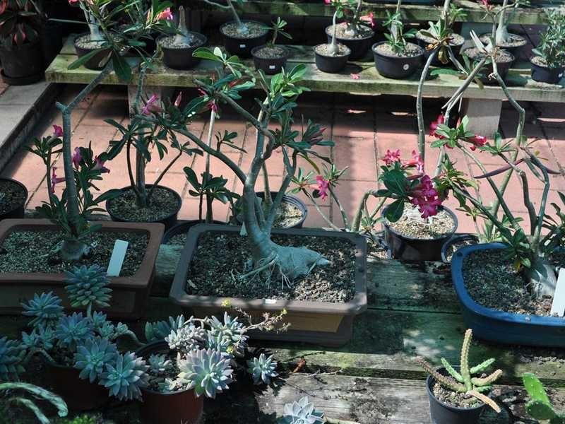 1077 Carmen Road, Mareeba QLD 4880