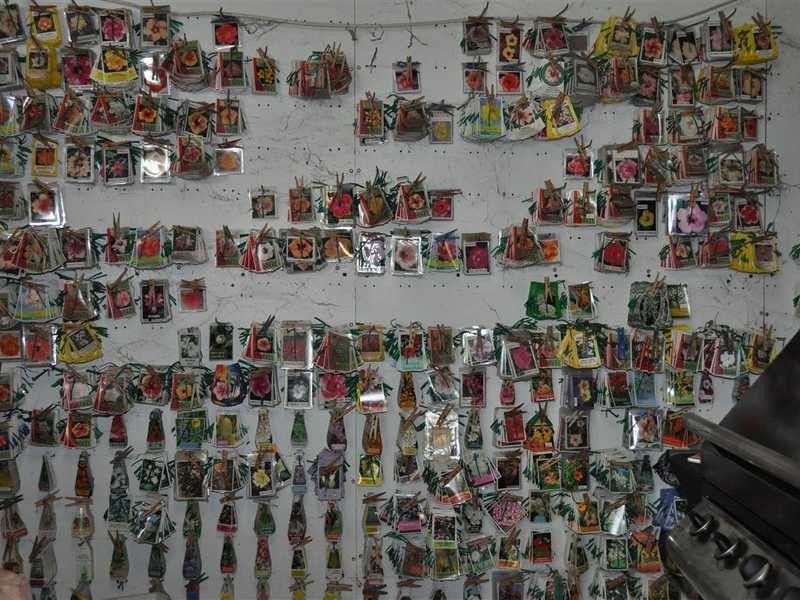 1077 Carmen Road, Mareeba QLD 4880