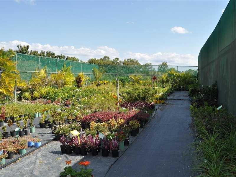 1077 Carmen Road, Mareeba QLD 4880