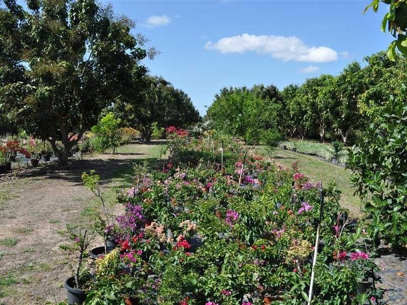 1077 Carmen Road, Mareeba QLD 4880