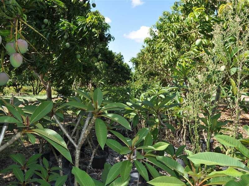 1077 Carmen Road, Mareeba QLD 4880