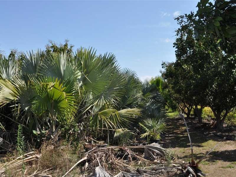 1077 Carmen Road, Mareeba QLD 4880