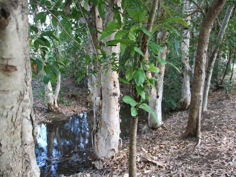 5 Toll Close, Mareeba QLD 4880