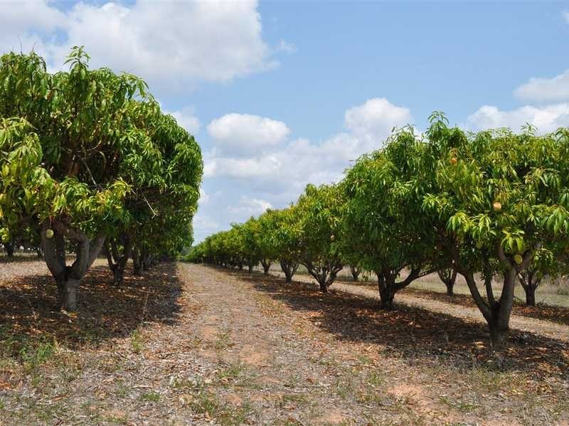 Veness Road, Dimbulah QLD 4872