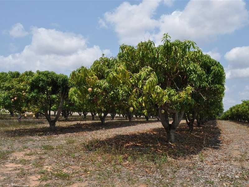 Veness Road, Dimbulah QLD 4872