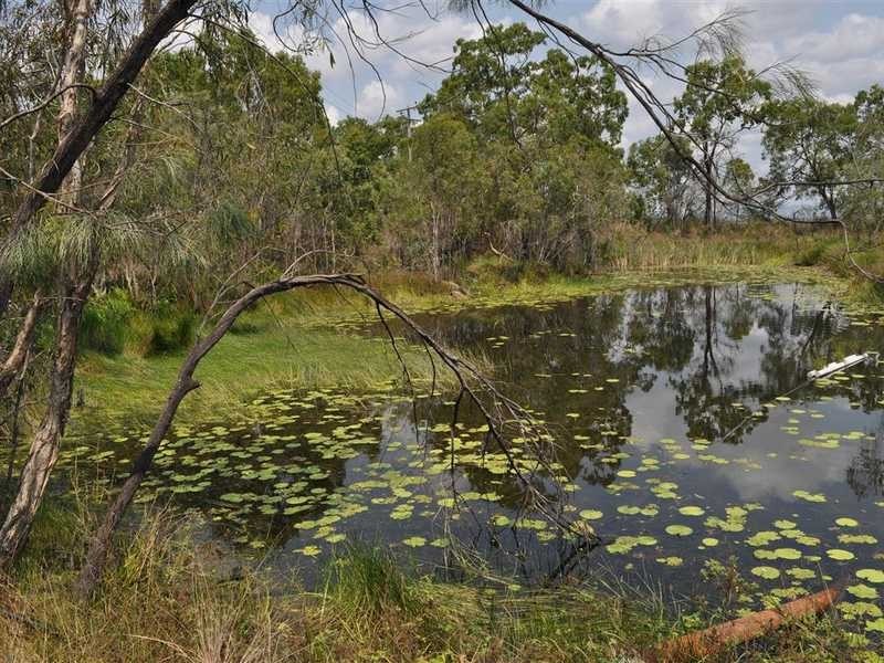 Veness Road, Dimbulah QLD 4872